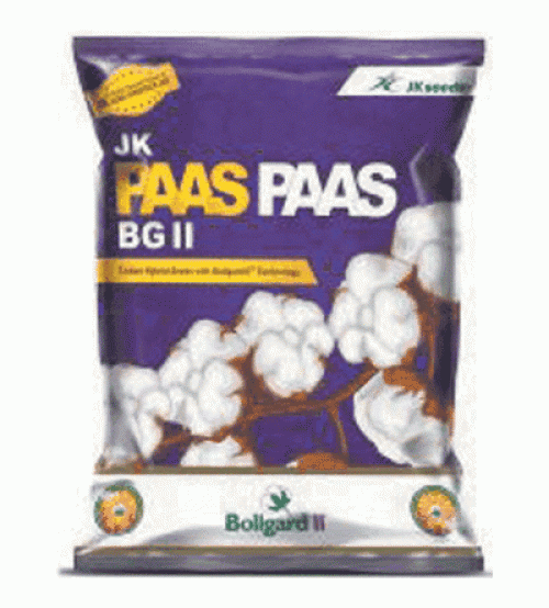 Cotton JK Pass Pass BG II